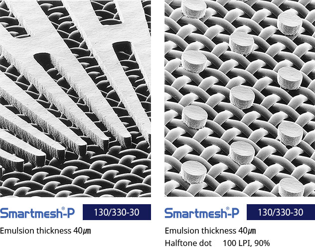 SEM Photos of Plates With SS-30